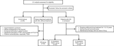 Changes in Th9 and Th17 lymphocytes and functional cytokines and their relationship with thyroid-stimulating hormone receptor antibodies at different stages of graves’ disease